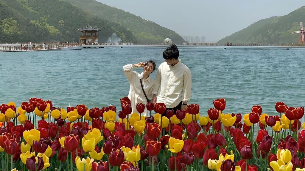 Đắm chìm trong vườn hoa Tulip rực màu ở công viên Songhae