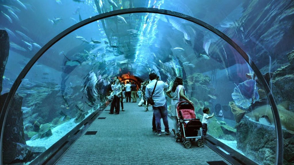Dubai Aquarium lớn nhất Thế giới